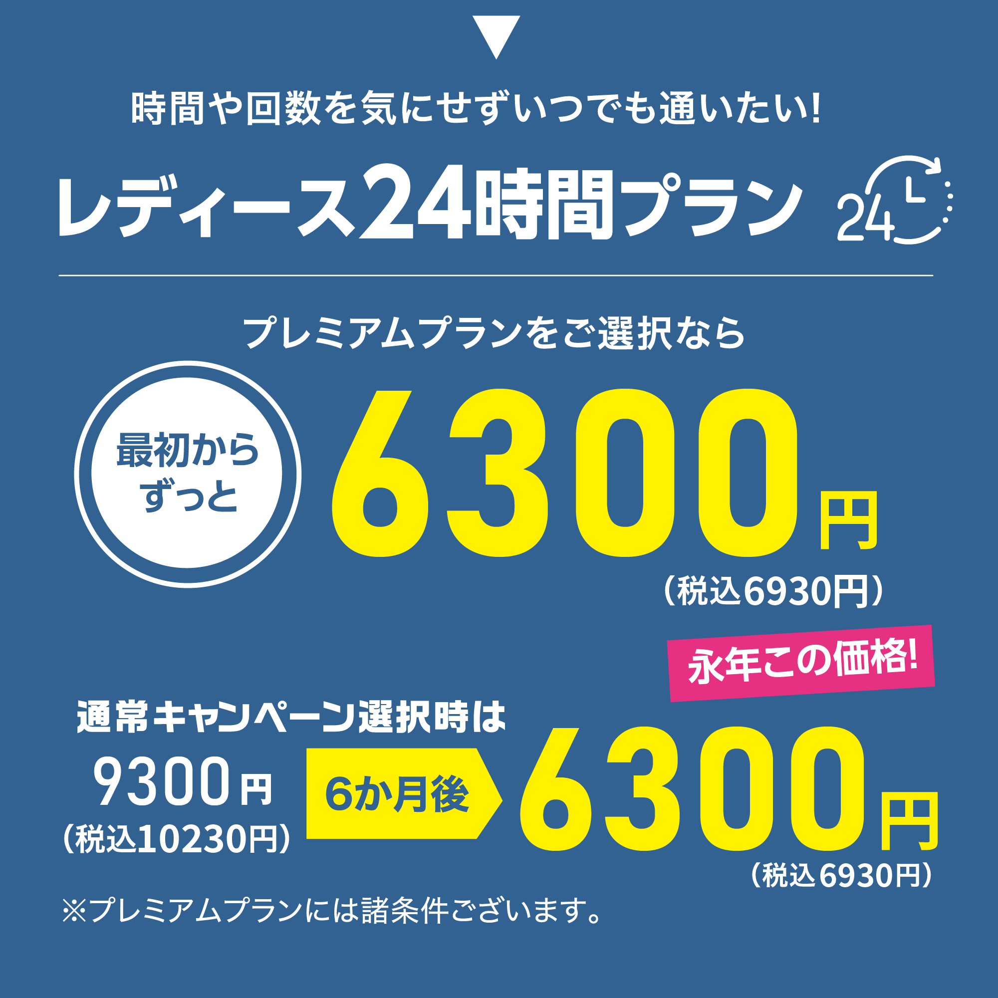 メインプラン