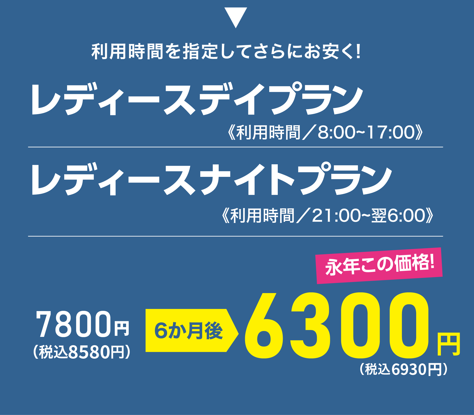 メインプラン