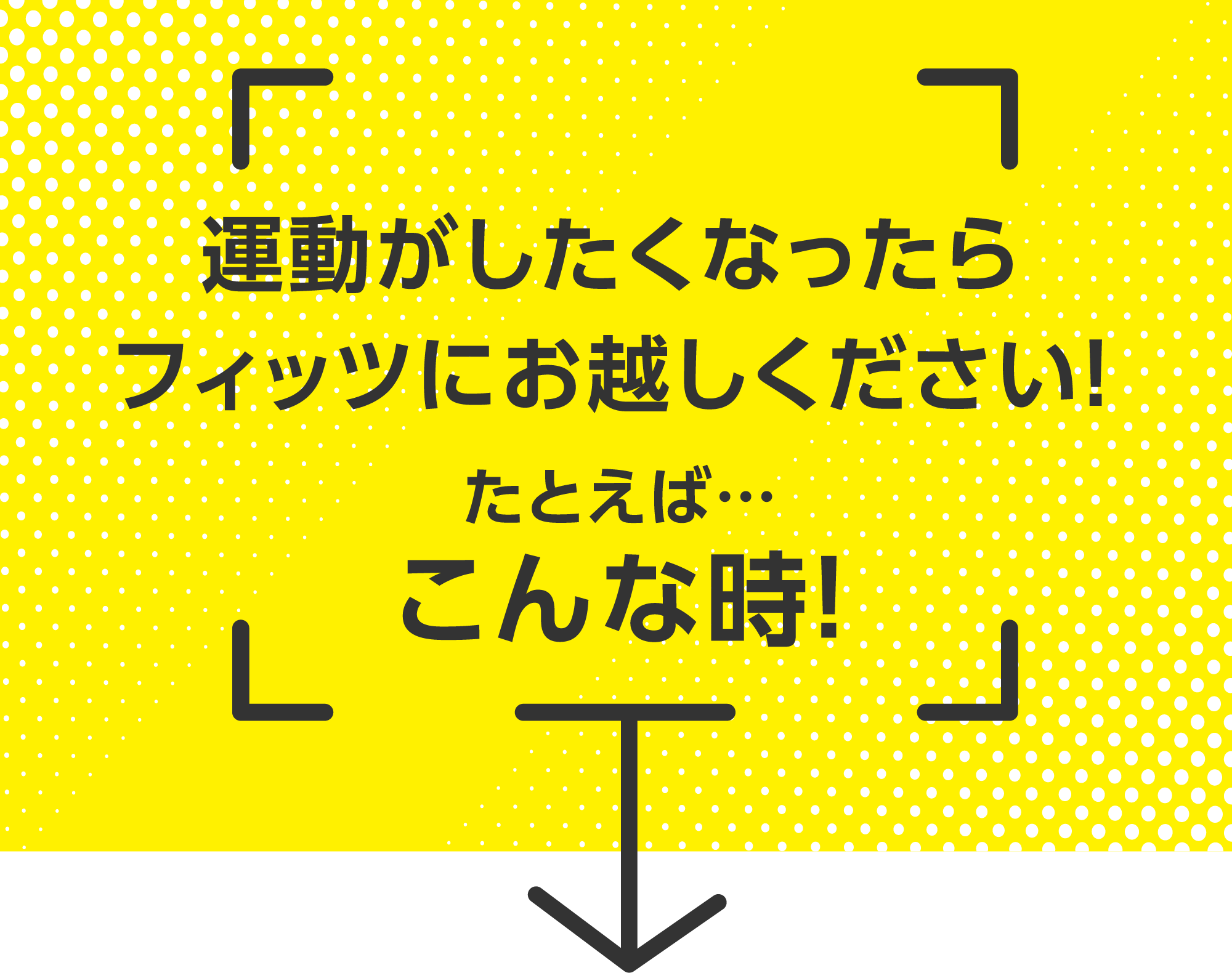 運動がしたくなったらフィッツにお越しください！