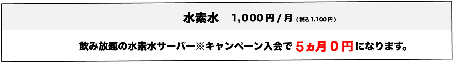 水素水1000円